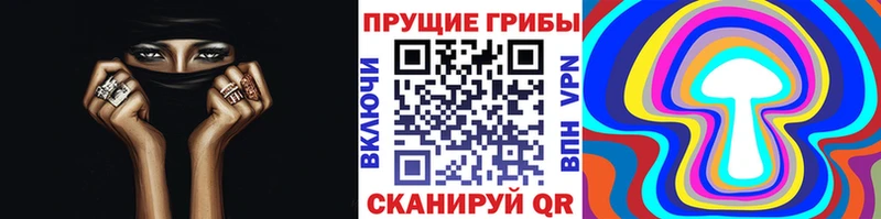 Галлюциногенные грибы Psilocybe  Белоусово 